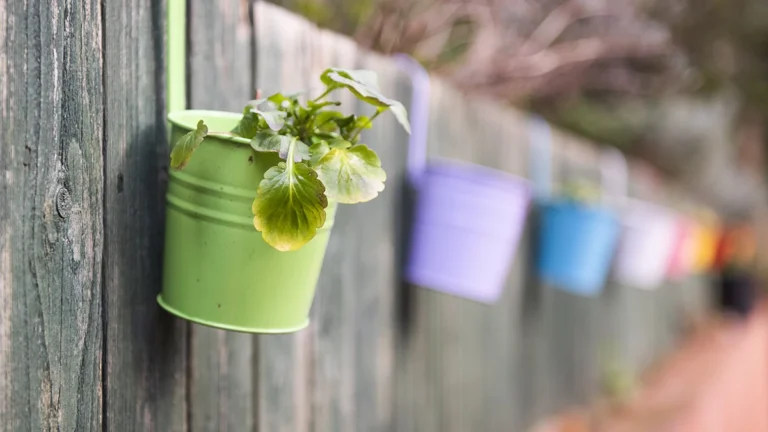 lifeworks-charity-devon-disability-learning-specialists-plants-nature
