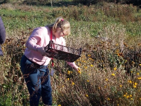 Pathway to skills to employment girl field assessment dartington devon